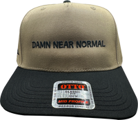 DNN Snapback